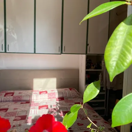 Casa Vacanza In Sardegna